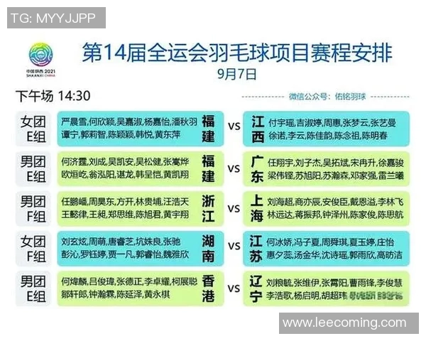 武汉羽毛球队全运会技术表现分析与未来发展展望 武汉羽毛球队全运会技术表现分析与未来发展展望