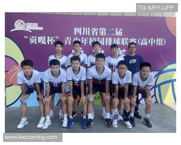 成都排球队快攻战术解析与训练心得深度剖析