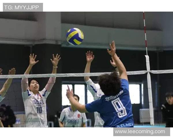 权威发布:2023年排球团队协作实力排行榜全面解析与深度解读 权威发布:2023年排球团队协作实力排行榜全面解析与深度解读