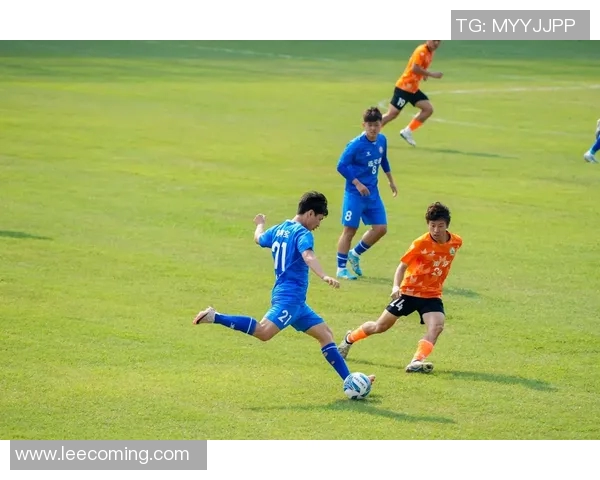 精彩瞬间黑人足球明星集锦视频展现他们的辉煌与激情 精彩瞬间黑人足球明星集锦视频展现他们的辉煌与激情